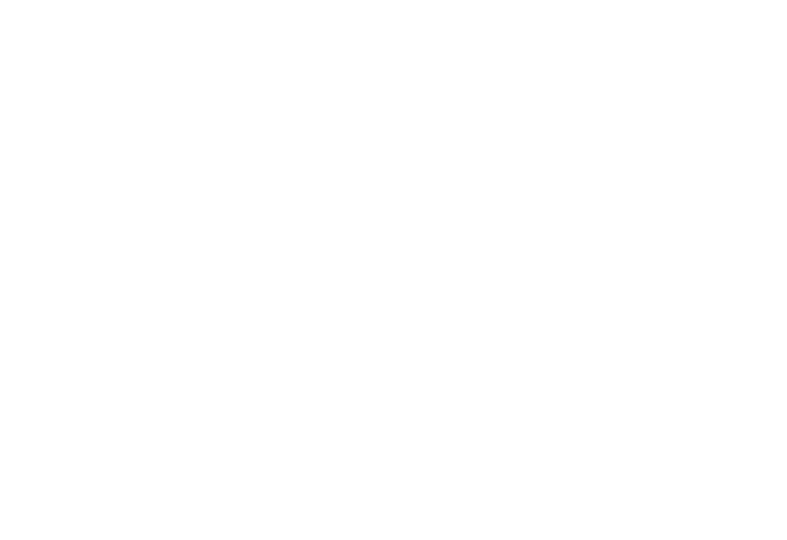 Logo PHINISI